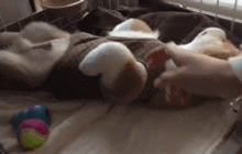 7bd1920c4c0f4bb49436cc8db824419a.gif