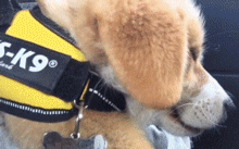 4693b55134784db88aef03ccc04f001a.gif
