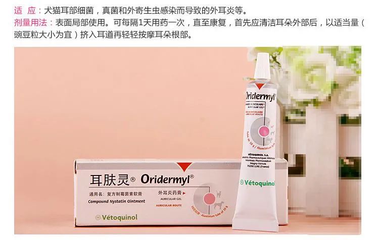 犬猫的外耳炎该怎么治疗？(犬猫常见疾病外耳炎介绍)