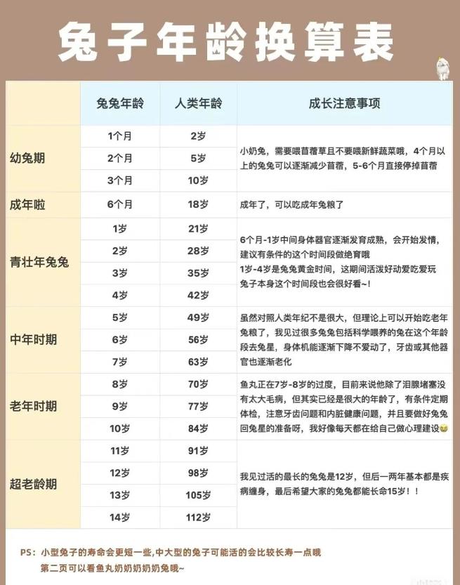 宠物兔子的年龄该怎么换算？（宠物兔年龄换算表）