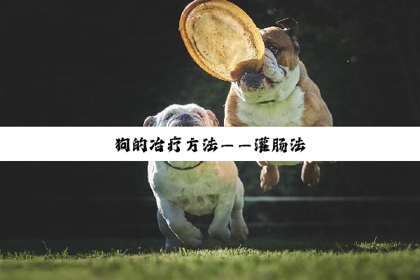 狗的冶疗方法——灌肠法