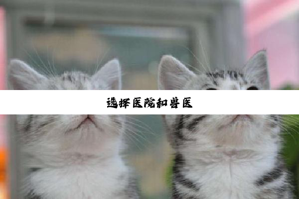 选择医院和兽医