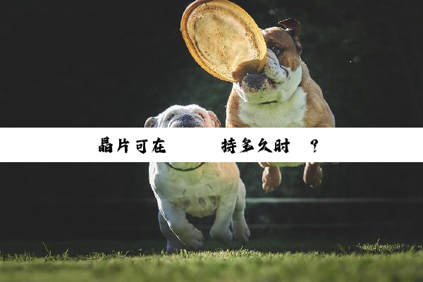 晶片可在體內維持多久时間？