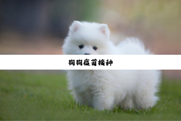 今日科普|狗狗疫苗接种