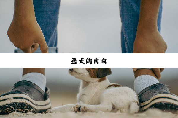 恶犬的自白