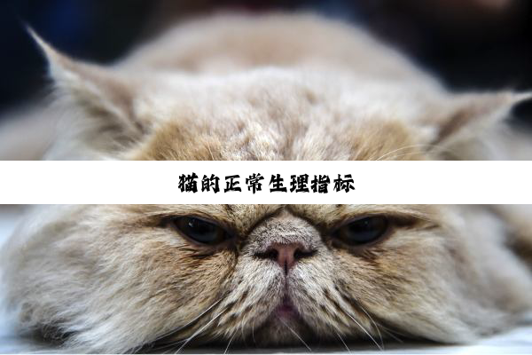 猫的正常生理指标