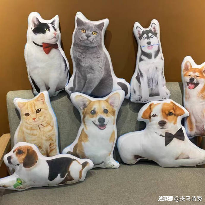 万亿征途，宠物市场新的爆发点何在？｜“争宠”