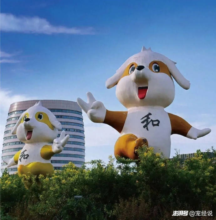 最“牛”宠物小镇，撑起了中国宠物食品的半边天